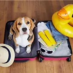 Apartamento Lieblingsort Loddin
